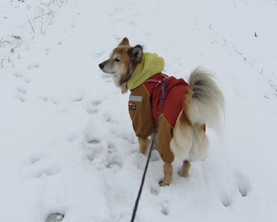 ���������~����