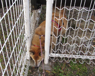 �X�N�ڂɏ��߂Ă������ʂ��ƒm��