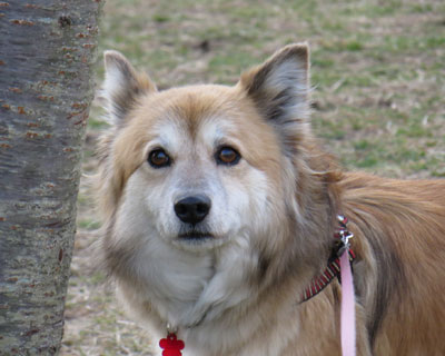 �I�v�e�B�IA30�Ɏ��ĂȂ��H