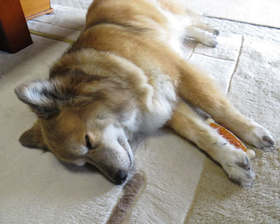 �I���`��������ĐQ��