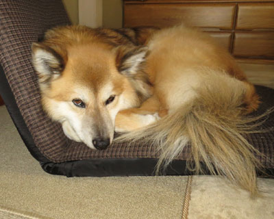 �܂����΂�łȂ��H