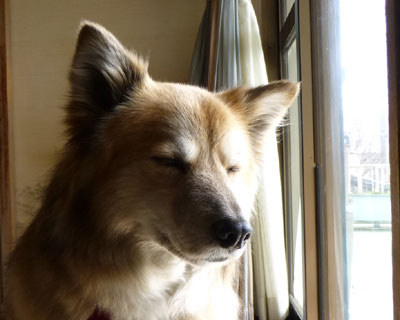 ���Ȃ��͖���