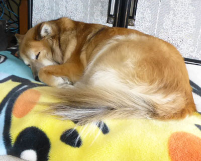 �Ȃ��Ȃ��t�����Ȃ���