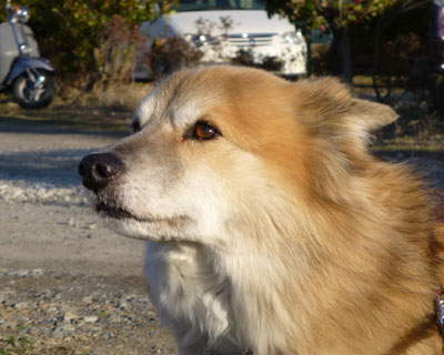 �k������