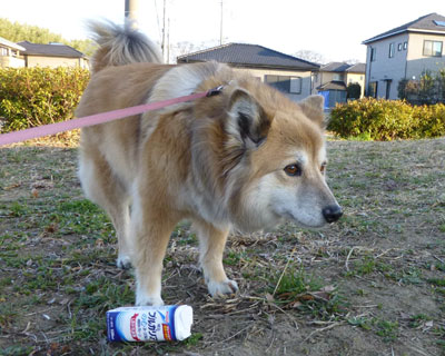 ���[�O���g�e�����Ȃ߂������A�����؂�