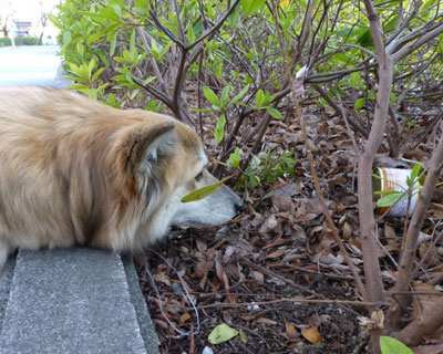 �˂��΂݂ɂ͂����������ȋ󂫊ʂ�����