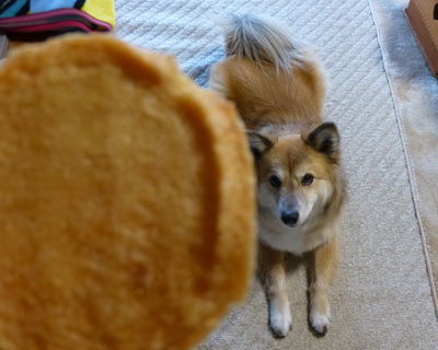 ���������Ă�邩��悱���Ȃ���