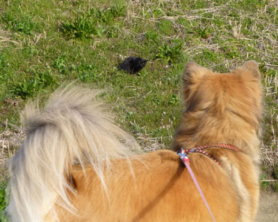 �˂�����