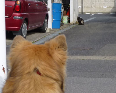 �܂��˂�����