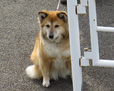 ���荞��ł������茩��