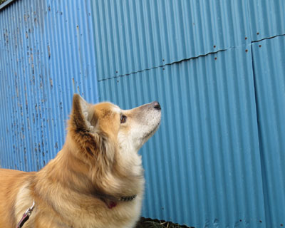 �����͂˂����ӂ���