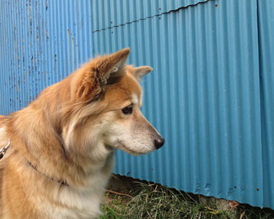 �����Y�ꂸ�ɂ�