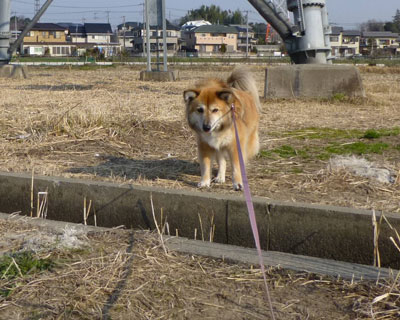 �����ɂȂ��Ă����킢