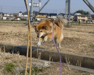 ��ׂ�񂾂��ǂ�