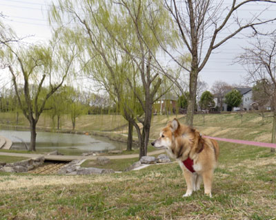 �t�͕���������