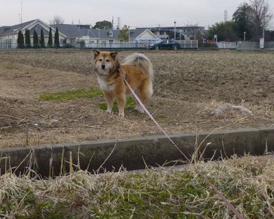 ����O�Ŏ~�܂��Ă��܂�