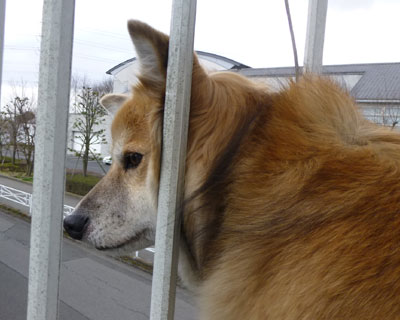 ������͐^��