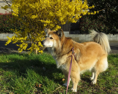 �����M���E�Ǝ�