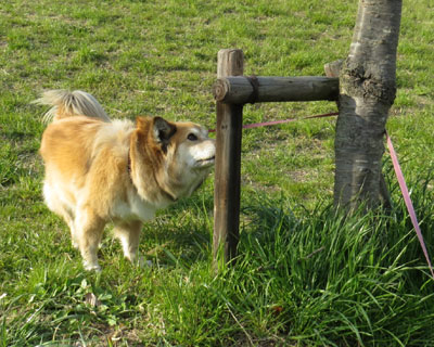 �Ȃ񂾂������ɂ���