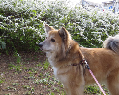 ���L���i�M�Ǝ�