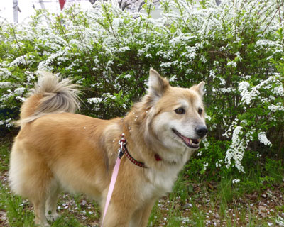 �U���Ă���