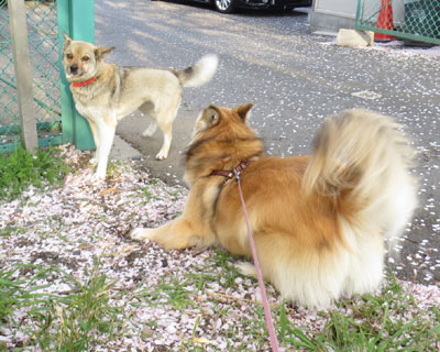 ������̈��A