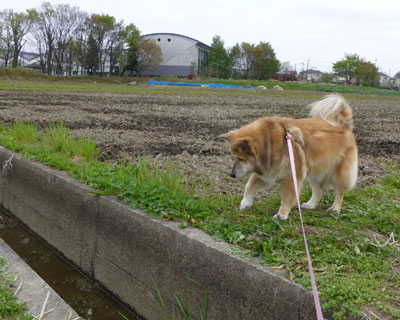 ��������Ƃ悯�����킢