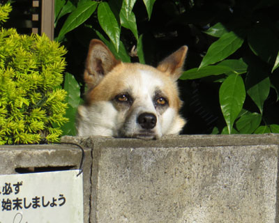 �����Ƃ�҂��Ă�