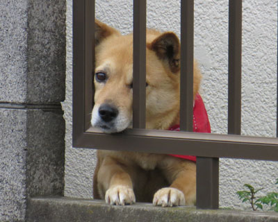 �i���邯�ǁA�Ȃ����҂��Ă�q