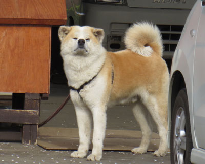 �H�c����͂R�l����