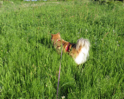 �������