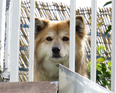 �u���Ă����E�E�E