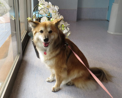 �a�@���炢