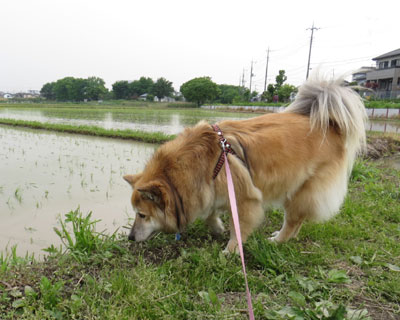 �c�A���͂T���̘A�x����