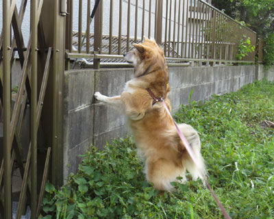 �˂������Ă�����