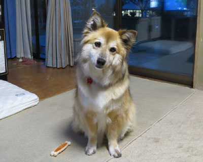 �˂�����H