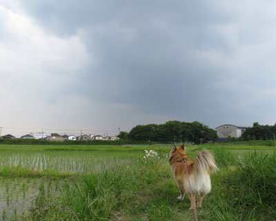 �����\��