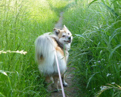 �W�����O��������Ă���