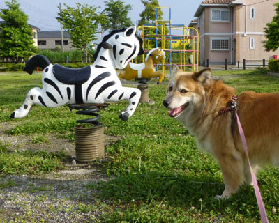 �V�}�E�}����͂��킭�Ȃ�