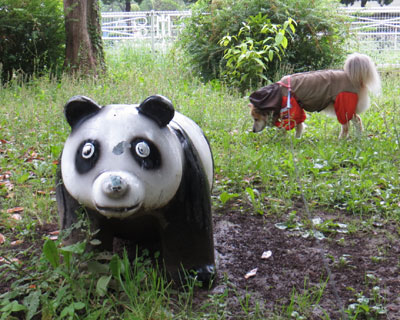 �X�N�O�A�p���_���񂪂��킩����