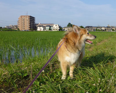 ��͂P�����ł��ꂾ�����