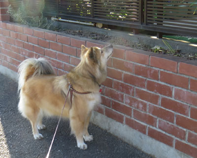 ���傤�͗��炩�ȁH