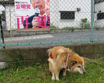 �Ȃ񂩂����܂���