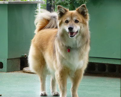 �U�����H