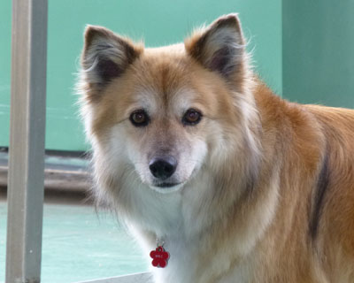 �U���E�E�E