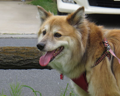 �����܂���