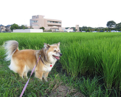 ��͂Q�����ł��ꂾ���L�т�