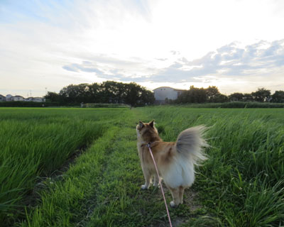 �����`�����`