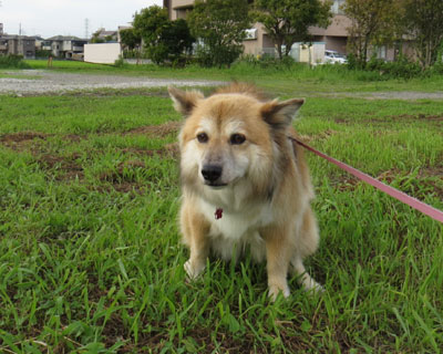 �g�C���ł͎���������