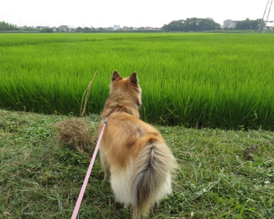 �c��ڂ͂��ꂢ�ɂȂ��Ă���